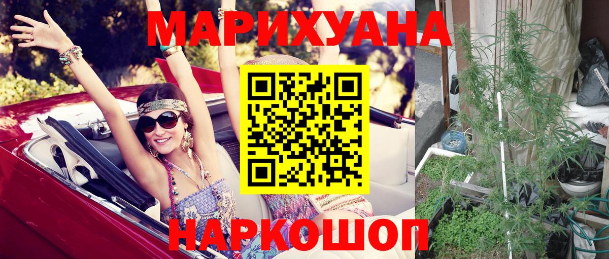 Волгоград  Каннабис сатива  Марихуана марихуана  Вход с VPN 
